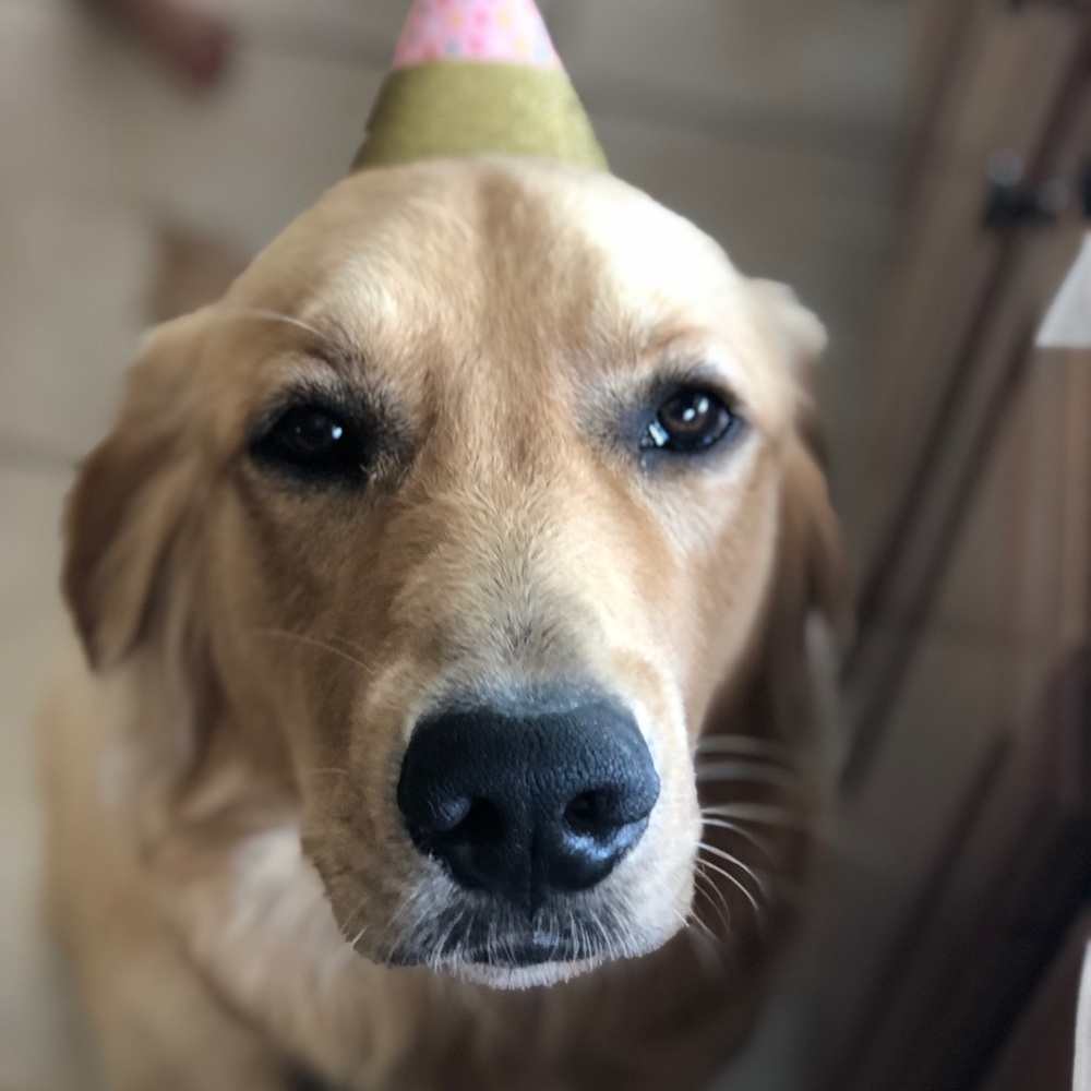 Meet your Posher, Jayme